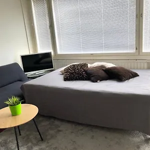 Sweethome 48 Center аlbertinkatu Apartment Helsinki